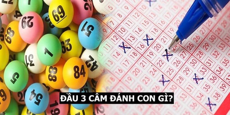 Đầu 3 câm đánh con gì